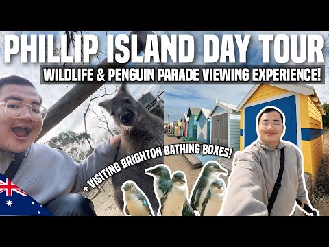Exploring PHILLIP ISLAND + PENGUIN PARADE Day Trip from MELBOURNE! 🇦🇺 | Ivan de Guzman