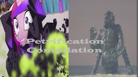 Petrification Compilation