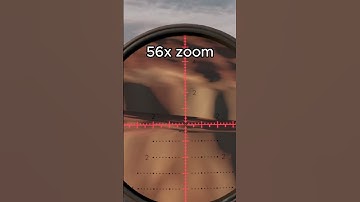 precise sniper - Hot Dogs, Horseshoes and Hand Grenades