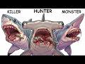 Every SHARK Type Explained in 12 minutes