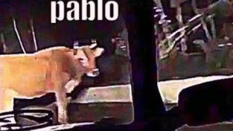 My Part in Shitty The Hell Trinity