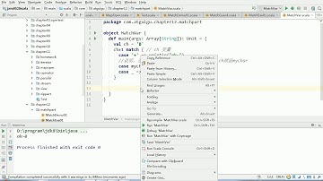 149 scala核心编程 模式中的变量