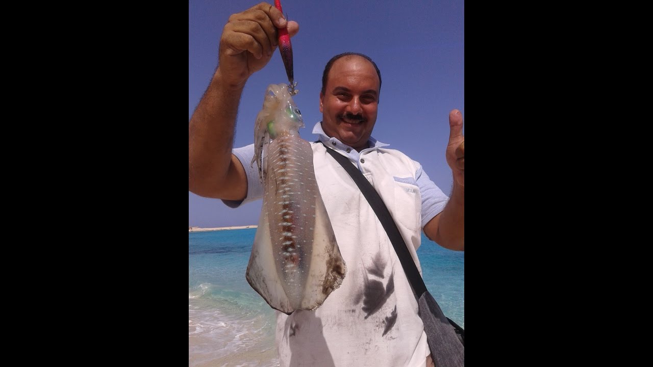 شرح أصول و مهارات صيد الكاليمارى ( الجزء الأول )