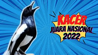 Masteran Kacer Juara Nasional 2022 !!!