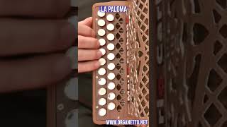 Video thumbnail of "Shorts - 8 Bassi -   LA PALOMA  - Accordion diatonic Organetto"