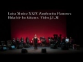 Luisa Muñoz XXIV Zambomba Flamenca  Hdad de los Gitanos (Lebrija)