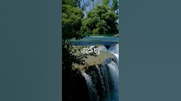 سورة [الروم ٤١]