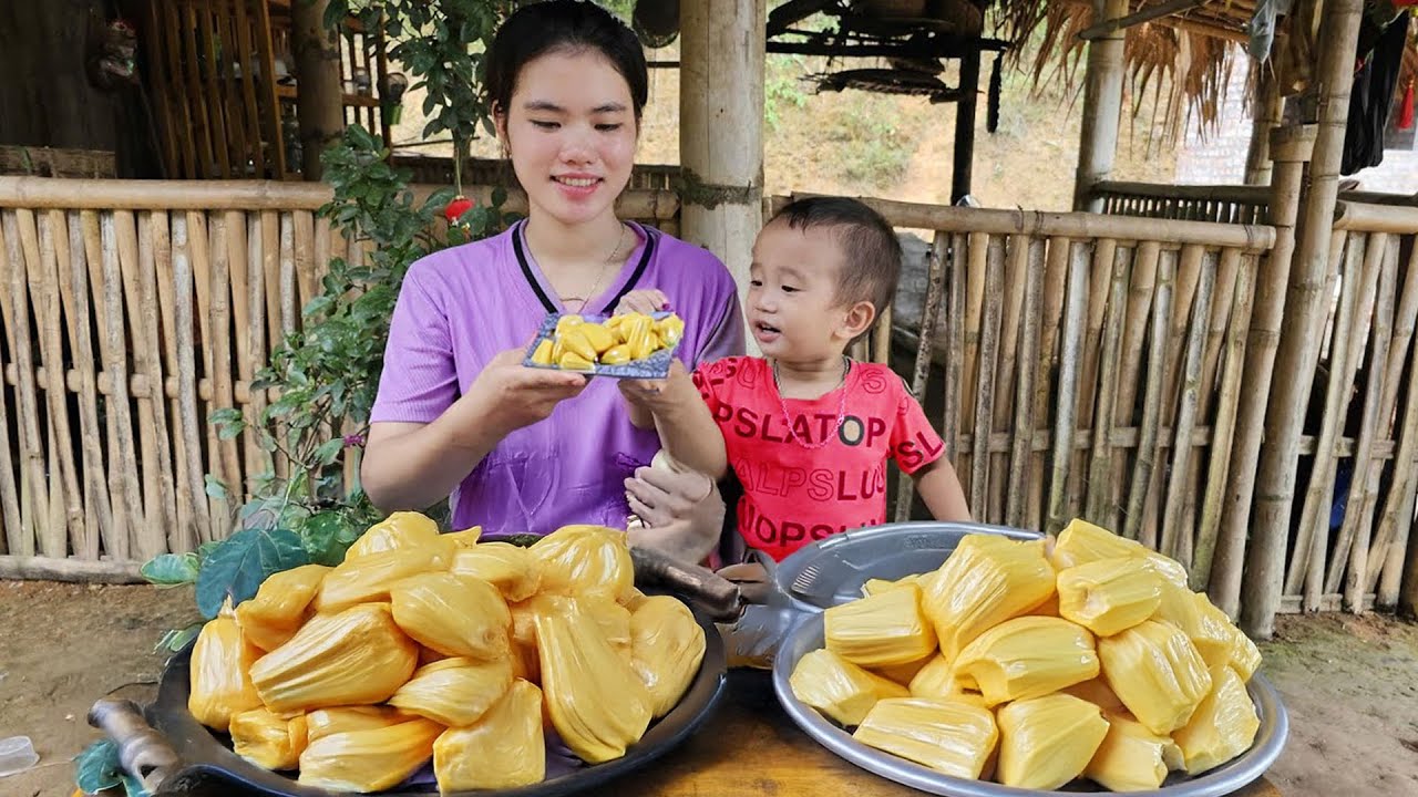 Harvest Jackfruits Goes To The Market Sell, Farm Life - Harvest Fruit | Trieu Thi Thuy