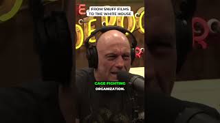 From Snuff Films to the White House