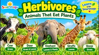 Herbivores for Kids 🌿 | Animals That Eat Plants | What Animals Eat | Smartmagu
