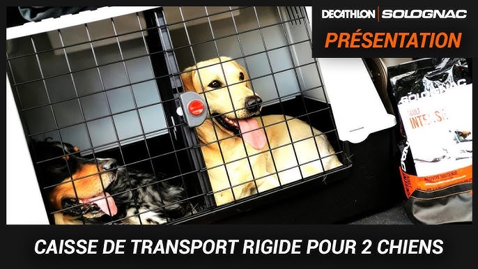 Caisse de transport chien, Solognac