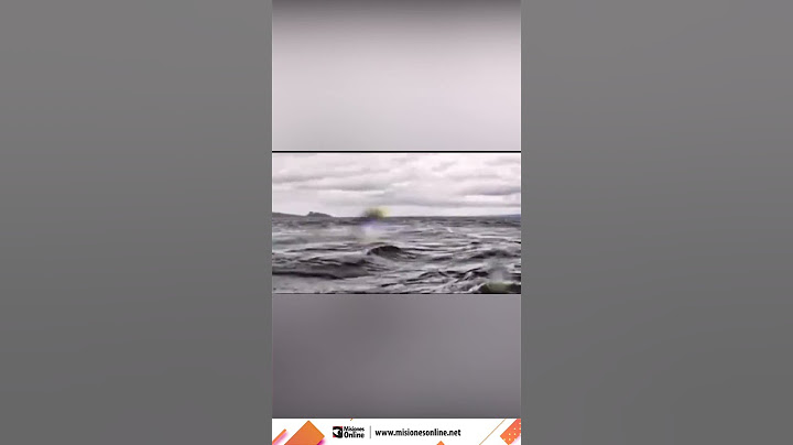 Un joven fue tragado por una ballena jorobada que luego lo expulsó