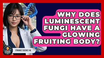 Why Does Luminescent Fungi Have A Glowing Fruiting Body? - Strange Science HQ