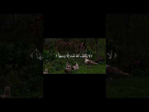 ادعوا لاخواننا عبدالباسط عبدالصمد قرآن    الهم صل على محمد وأل محمد