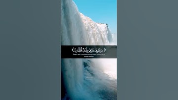 عينا فيها تسمى سلسبيلا 🕊️ - تلاوة خاشعة لمحمد اللحيدان