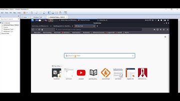 OWASP Juice shop web application, Sales data backup and GDPR data theft challenges