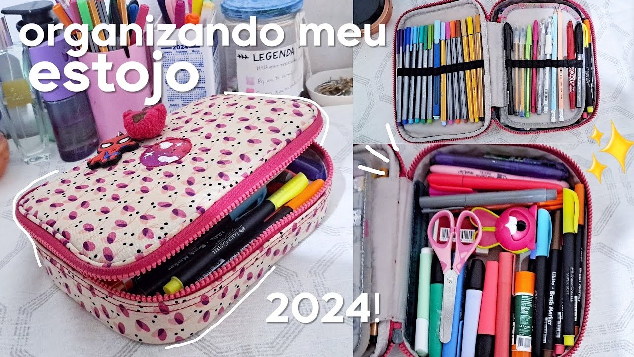 organizando meu estojo 2024 ✨👝 | canetas novas, brush pen, stabilos