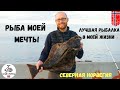 РЫБАЛКА МЕЧТЫ!!! ЛУЧШАЯ РЫБАЛКА В МОЕЙ ЖИЗНИ! ПЕРВЫЙ ПАЛТУС! СЕВЕРНАЯ НОРВЕГИЯ! Рыбалка в Норвегии.