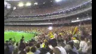 Mexican Wave Madness @ the MCG
