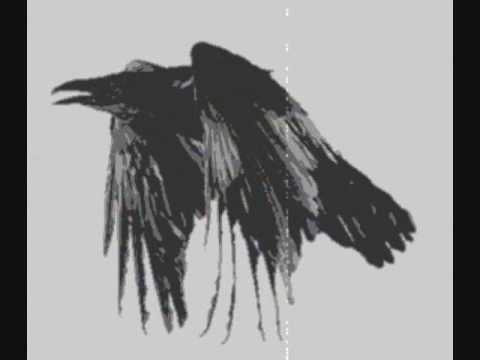 Cise Star- The Raven