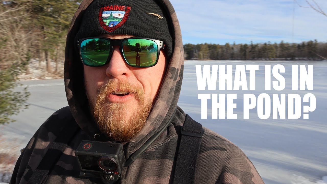 What is in the Pond? MAINE Ice Fishing