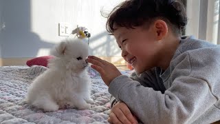 아기 강아지 처음 본 조카 반응ㅎㅎ / 귀여움 주의 !