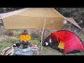 CAMPING in the RAIN and SNOW - Tent - FREEZING - Dog - ASMR