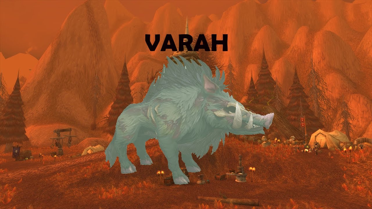 Фантастические питомцы WOW и где их найти | [VARAH]