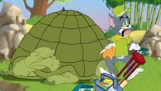 The Tom And Jerry-Feeding Time In The Zoo