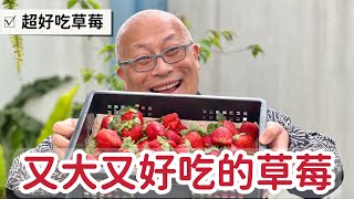 又大又好吃的草莓_￼新鮮便宜又香又甜，上午採收，下午入喉_￼偶爾奢侈一下也不錯