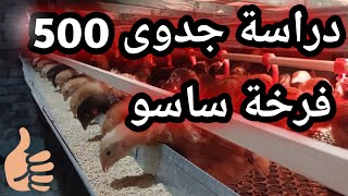 دراسة جدوى ٥٠٠ فرخة ساسو بدون مخاطره #تربية الدواجن