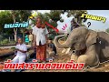 ตาลุนมาตบบัวบาน😅ขึ้นร้านก๋วยเตี๋ยวต้มยำบัวบาน❗️บรรเทิงครับelephant