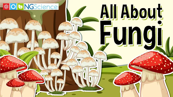 All About Fungi - DayDayNews