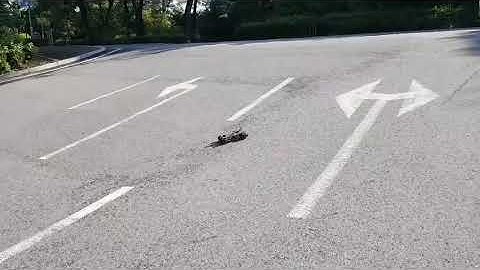 ardurover mission planner waypoint 02