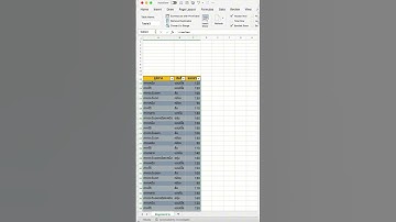 สร้างปุ่มใน Excel กดดูข้อมูล #inabyte #excel