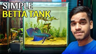 How I made This Simple Wild Betta Tank? by AQUATIC MEDIA 46,110 views 7 months ago 12 minutes, 26 seconds