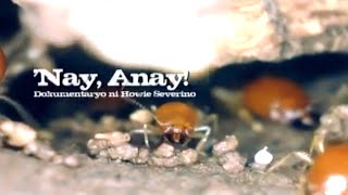 I-Witness: "Nay, Anay!", dokumentaryo ni Howie Severino (full episode)