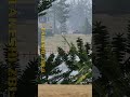 Warning: Sniping a mortar team will result in bad #squad #squadgameplay