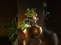 إذا أتتك جيوش الهم غازية فبالصلاة على المختار تنهزم أعظم سلاح يبدد الهموم mp3