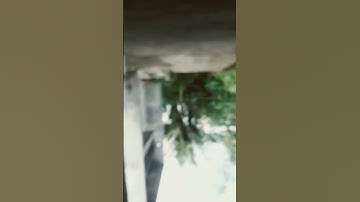 Thumbnail of pagi yang cuerahhhh #music #phonkmusic #audio #song #funny #next