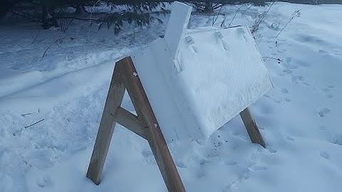 Extreme Climate Hive - Coming Out Of The First Winter