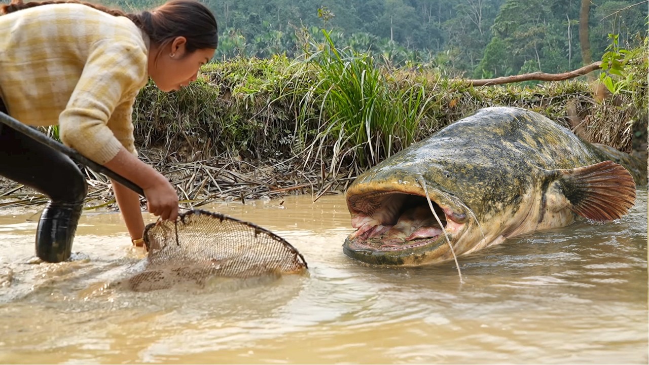 Hand-catching 1200kg+ huge carp & freshwater pomfret & making smoked fish for my children