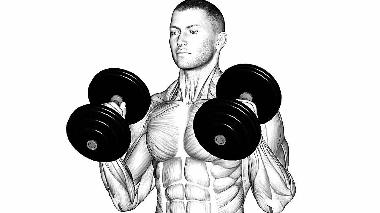 Arms Dumbbell Workout Arms Transformation Dumbbell Workout YouTube