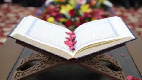 شرح اية من سورة الحجرات  مع تلاوة خاشعة