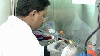 Newly Discovered Biomarker Predicts Cancer Growth