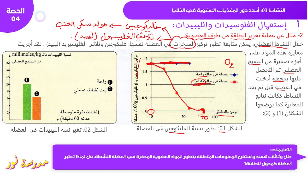 شرح مثال عن عملية تحرير الطاقة من طرف العضوية صفحة 33 علوم طبيعية سنة 04 متوسط