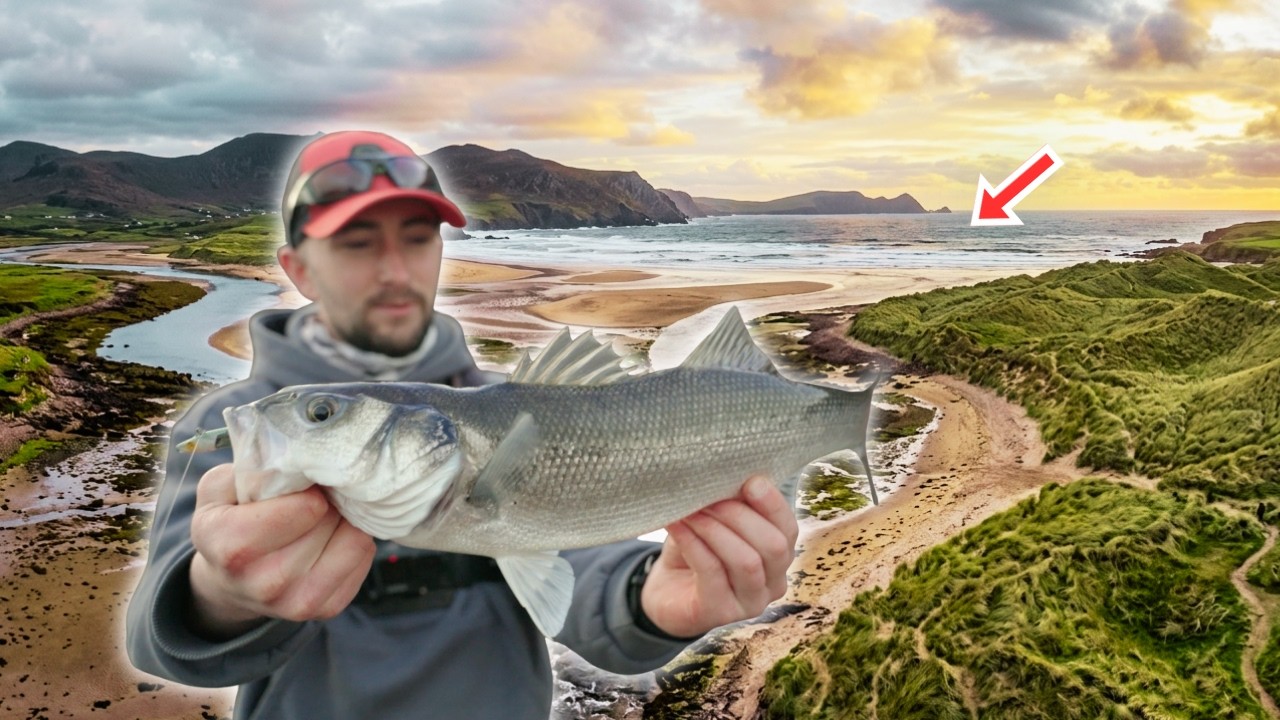 How I Finally Started Catching Bass in Irish Estuaries
