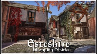 Download Lagu ESO Housing: Esteshire Shopping District MP3