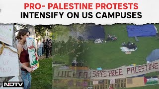 Gaza Vs Israel | Arrests, Suspension As Pro- Palestine Protests Intensify On US Campuses