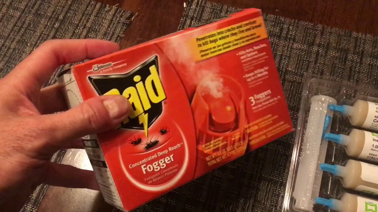 Get rid of roaches fast YouTube